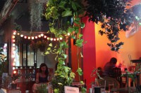 /album/yespub-/img-0924-900h-jpg/